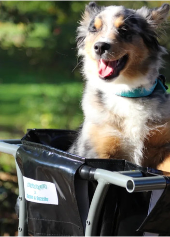 Bac vélo pour longtail - Suzon Suzette