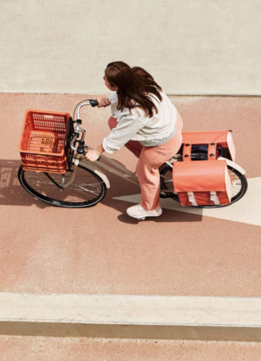 48/53L double bike bag - Basil