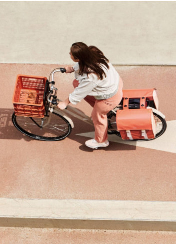 48/53L double bike bag - Basil