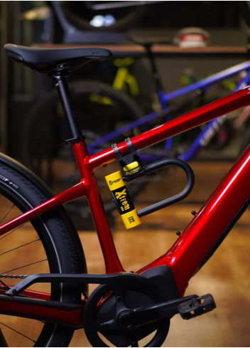 Antivol XTREM certifié SRA et ART4 - Auvray