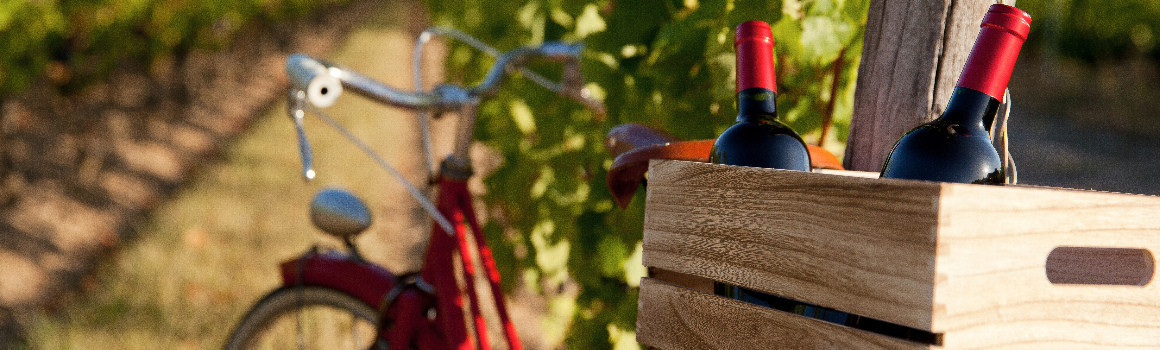 Caisses vélo